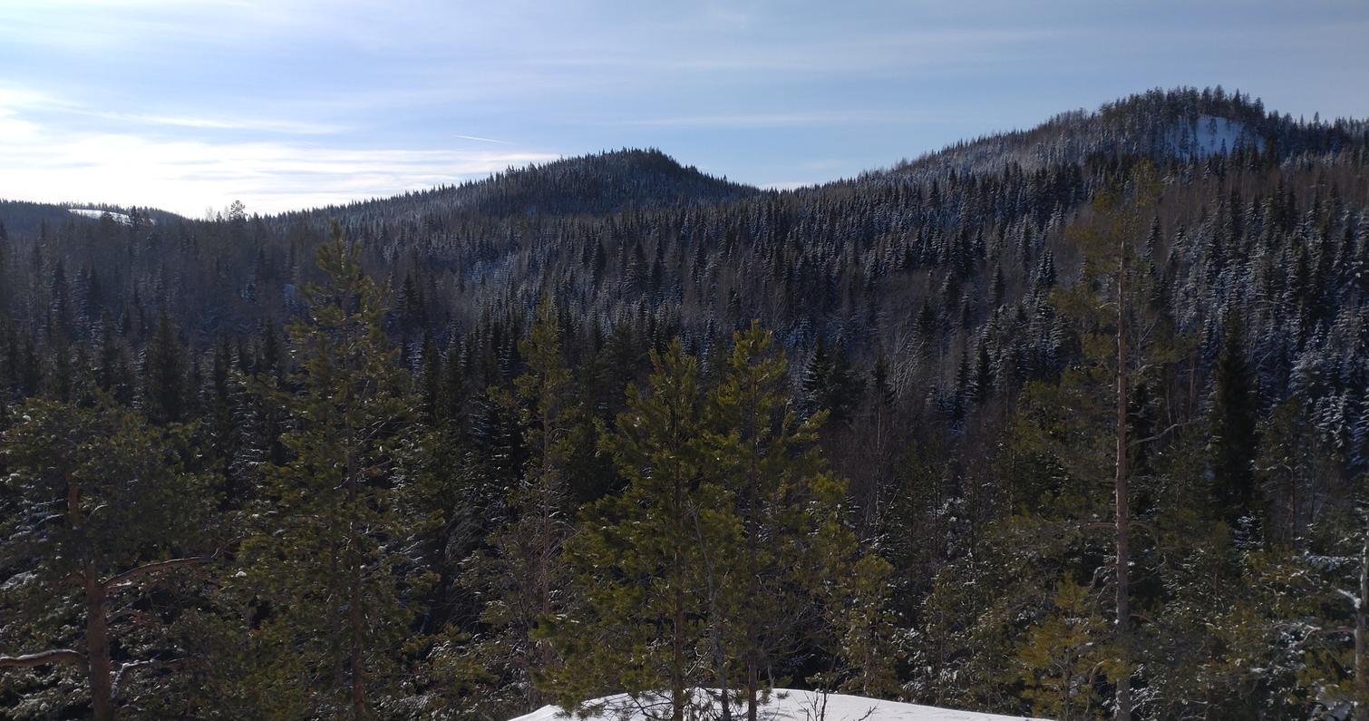 Kev&auml;tt&auml; ilmassa Kolin Kolvanankalliollala