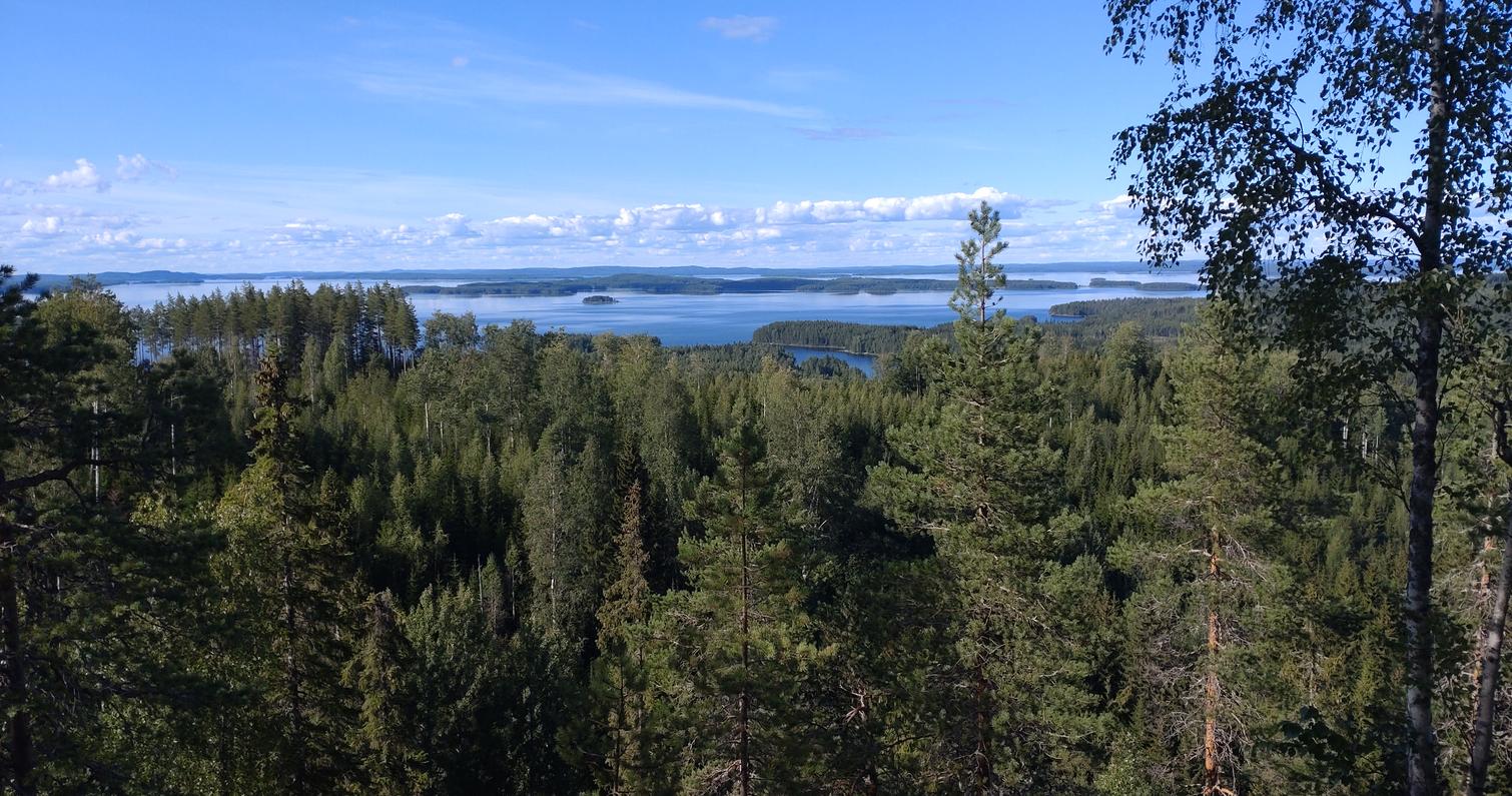 Kesäinen maisema Kolilta, jossa vihreä metsä avautuu kohti Pielisen järveä ja sinistä taivasta pilvineen. Luonnonrauhaa Pohjois-Karjalassa.