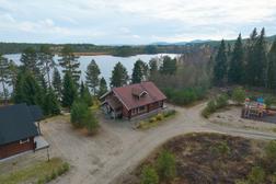Ilmakuva vuokramökistä Pielisen rannalla Kolilla, ympärillä vehreä metsä ja hiekkapolut. Rauhallinen majoitus Pohjois-Karjalassa Itä-Suomen luonnossa.