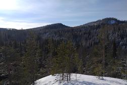 Kev&auml;tt&auml; ilmassa Kolin Kolvanankalliollala