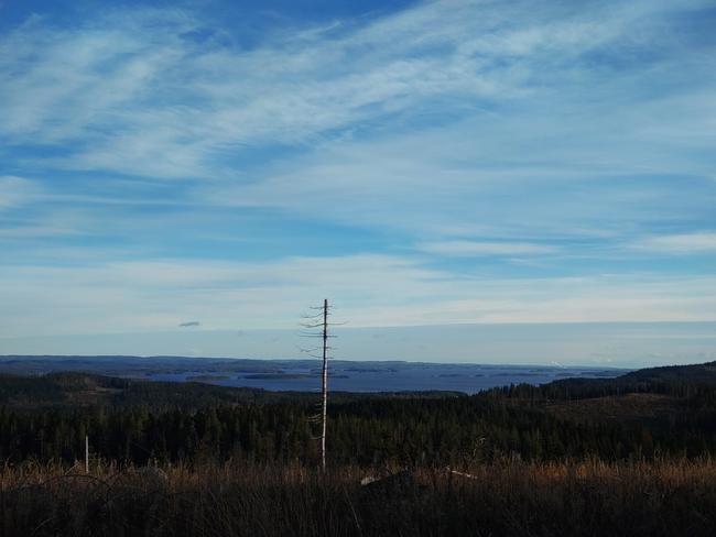Maisema Kolilta, jossa näkyy metsän yli avautuva näkymä kaukaisuudessa siintävälle Pielisen järvelle ja pilvinen sininen taivas.