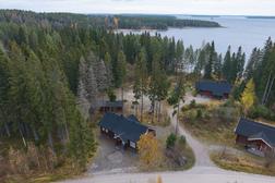 Ilmakuva mökeistä Pielisen rannalla Pohjois-Karjalassa, ympärillä vehreää metsää ja syksyistä luontoa. Vuokramökit Itä-Suomessa tarjoavat rauhallisen majoituksen.