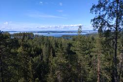 Kesäinen maisema Kolilta, jossa vihreä metsä avautuu kohti Pielisen järveä ja sinistä taivasta pilvineen. Luonnonrauhaa Pohjois-Karjalassa.