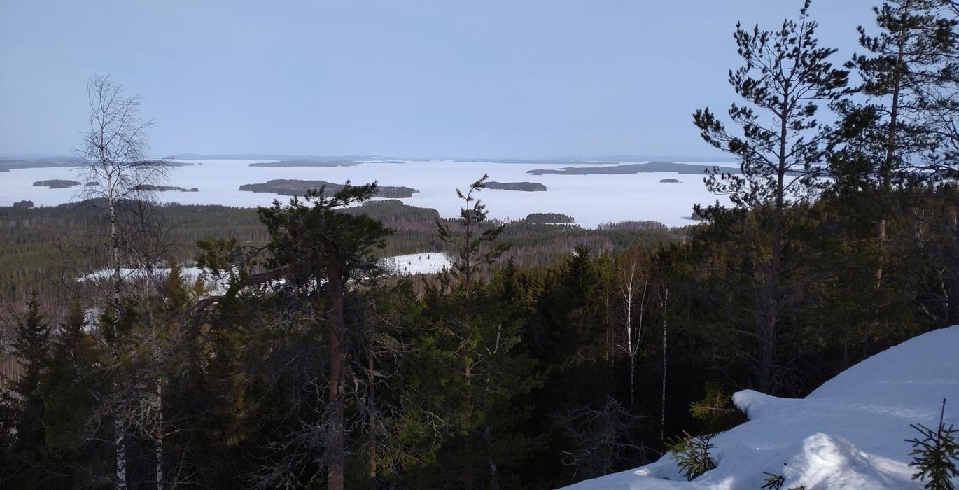 Talvinen maisema Kolilta, jossa näkyy lumipeitteinen metsä ja Pielisen järvi jäässä, taustalla saaria ja sininen talvitaivas.