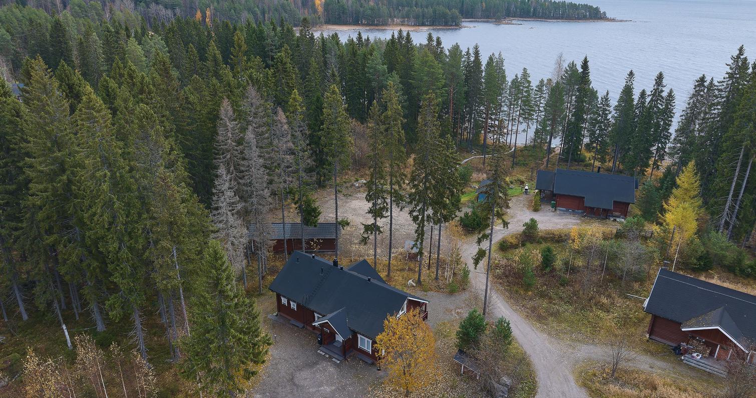 Ilmakuva mökeistä Pielisen rannalla Pohjois-Karjalassa, ympärillä vehreää metsää ja syksyistä luontoa. Vuokramökit Itä-Suomessa tarjoavat rauhallisen majoituksen.