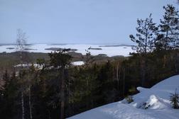 Talvimaisema Kolilla Honkavaaran laelta 