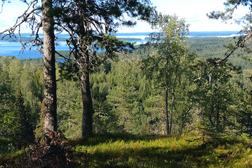 Pielinen horisontissa kes&auml;p&auml;iv&auml;n&auml; Kolin Honkavaaralta kuvattuna