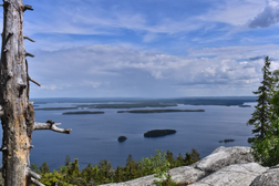 Näkymä Kolin kansallispuiston kallioilta Pielisen järvelle, jossa näkyy saaria ja sininen taivas pilvineen. Luontomatkailun helmi Pohjois-Karjalassa.