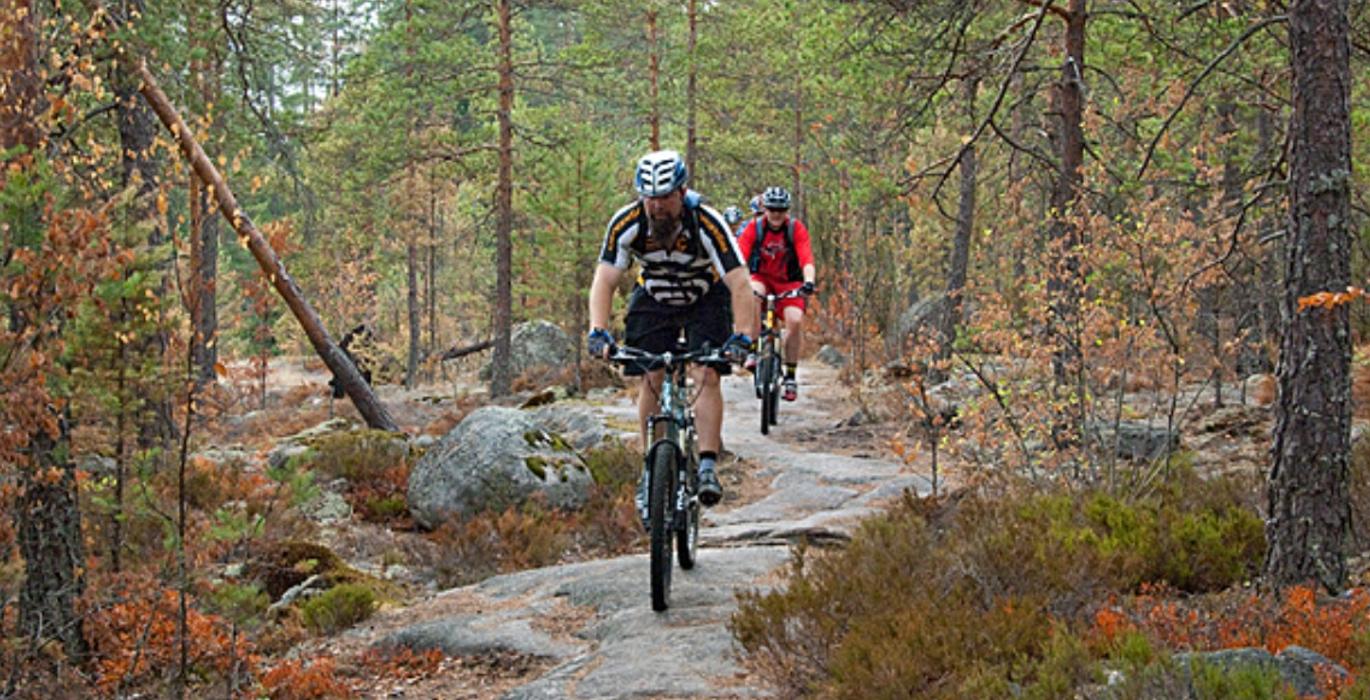 Kaksi maastopyöräilijää ajamassa polkua pitkin syksyisessä metsässä Kolilla.