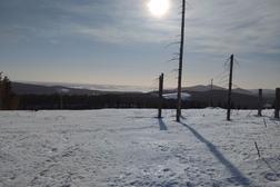 Kelot kylpev&auml;t kev&auml;ttalven auringossa Kolilla